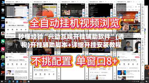 秒懂经验“兴动互娱开挂辅助软件”(透视)开挂辅助脚本+详细开挂安装教程-第2张图片