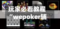 玩家必看教程“wepoker辅助透视作弊挂”通用版下载教程！-第2张图片