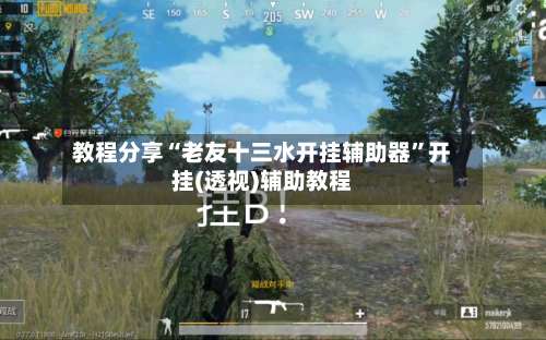 教程分享“老友十三水开挂辅助器”开挂(透视)辅助教程-第2张图片