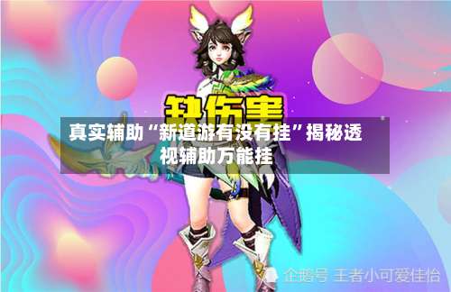 真实辅助“新道游有没有挂”揭秘透视辅助万能挂-第2张图片