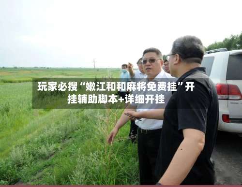 玩家必搜“嫩江和和麻将免费挂”开挂辅助脚本+详细开挂-第1张图片