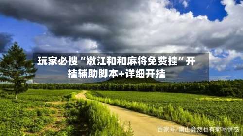 玩家必搜“嫩江和和麻将免费挂”开挂辅助脚本+详细开挂-第3张图片