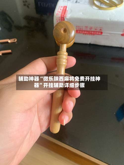 辅助神器“微乐陕西麻将免费开挂神器	”开挂辅助详细步骤-第2张图片