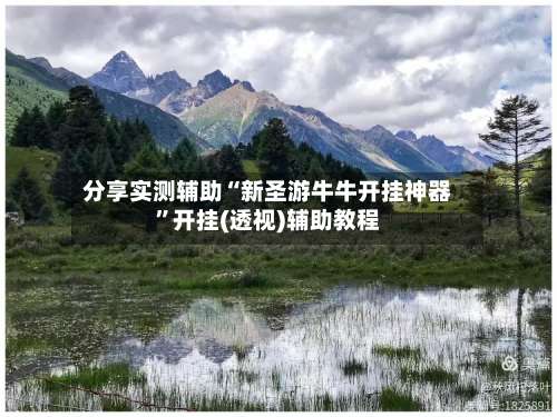 分享实测辅助“新圣游牛牛开挂神器”开挂(透视)辅助教程-第3张图片