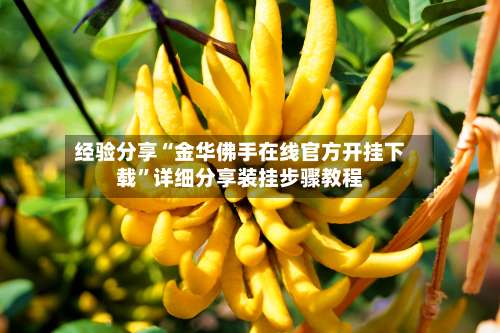 经验分享“金华佛手在线官方开挂下载”详细分享装挂步骤教程-第1张图片