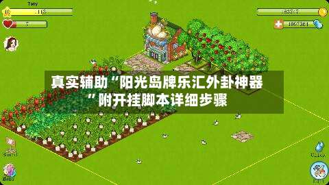 真实辅助“阳光岛牌乐汇外卦神器”附开挂脚本详细步骤-第2张图片