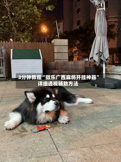 3分钟教程“微乐广西麻将开挂神器”详细透视辅助方法-第2张图片