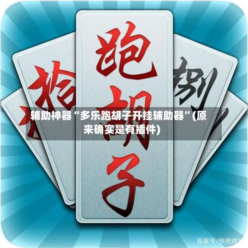 辅助神器“多乐跑胡子开挂辅助器	”(原来确实是有插件)-第1张图片