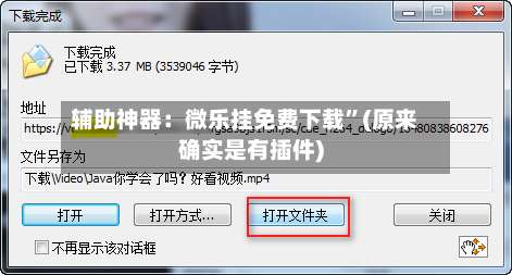 辅助神器：微乐挂免费下载	”(原来确实是有插件)-第1张图片
