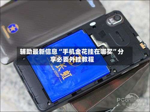 辅助最新信息“手机金花挂在哪买”分享必要外挂教程-第3张图片