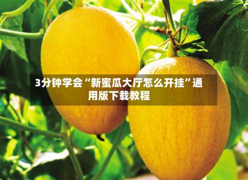 3分钟学会“新蜜瓜大厅怎么开挂”通用版下载教程-第2张图片