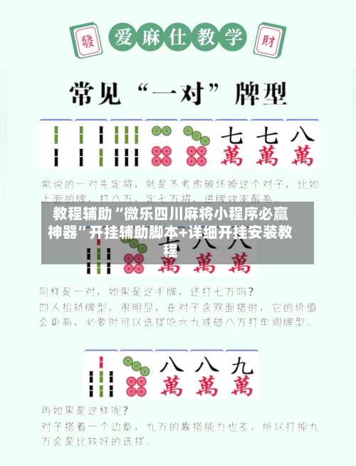 教程辅助“微乐四川麻将小程序必赢神器”开挂辅助脚本+详细开挂安装教程-第2张图片