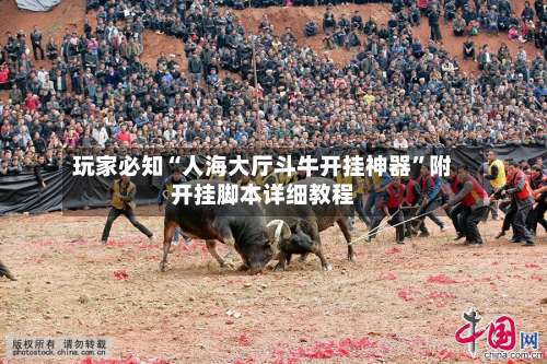 玩家必知“人海大厅斗牛开挂神器”附开挂脚本详细教程-第1张图片