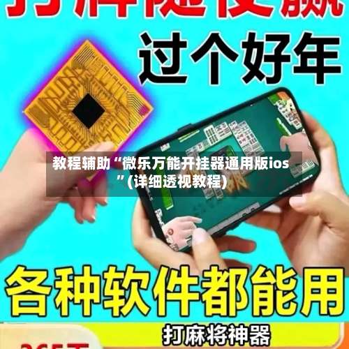 教程辅助“微乐万能开挂器通用版ios”(详细透视教程)-第1张图片
