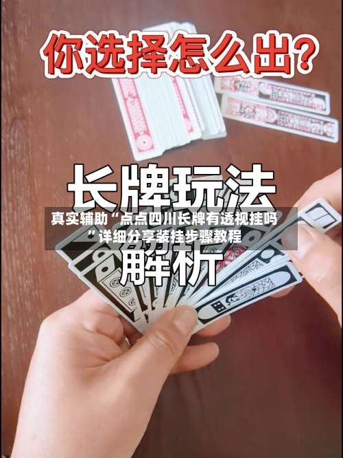 真实辅助“点点四川长牌有透视挂吗”详细分享装挂步骤教程-第1张图片