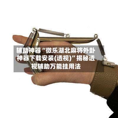 辅助神器“微乐湖北麻将外卦神器下载安装(透视)”揭秘透视辅助万能挂用法-第1张图片