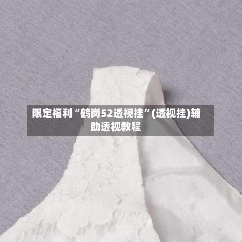 限定福利“鹤岗52透视挂”(透视挂)辅助透视教程-第1张图片