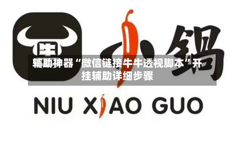 辅助神器“微信链接牛牛透视脚本	”开挂辅助详细步骤-第3张图片