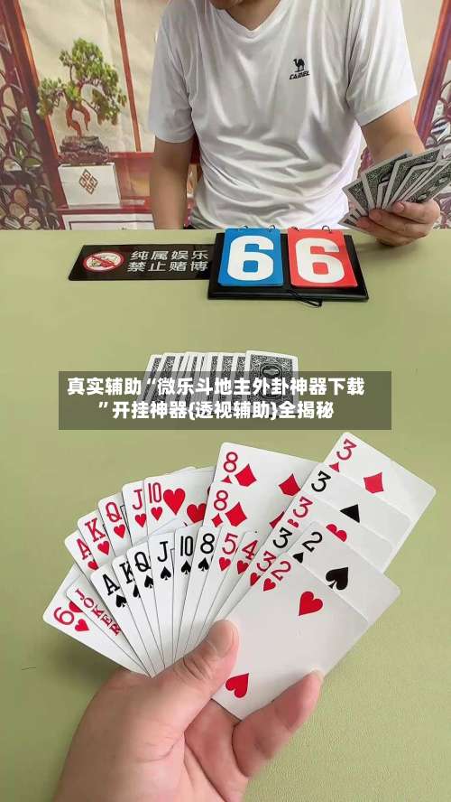 真实辅助“微乐斗地主外卦神器下载”开挂神器{透视辅助}全揭秘-第1张图片