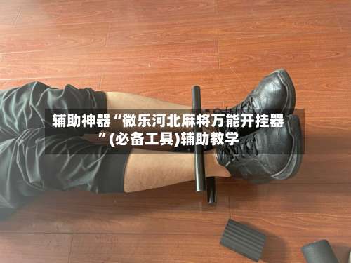 辅助神器“微乐河北麻将万能开挂器”(必备工具)辅助教学-第2张图片