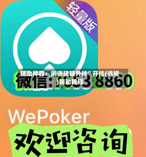 辅助神器：闲逸碰胡外桂”开挂(透视)辅助教程-第1张图片