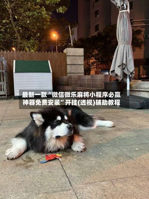 最新一款“微信微乐麻将小程序必赢神器免费安装”开挂(透视)辅助教程-第2张图片