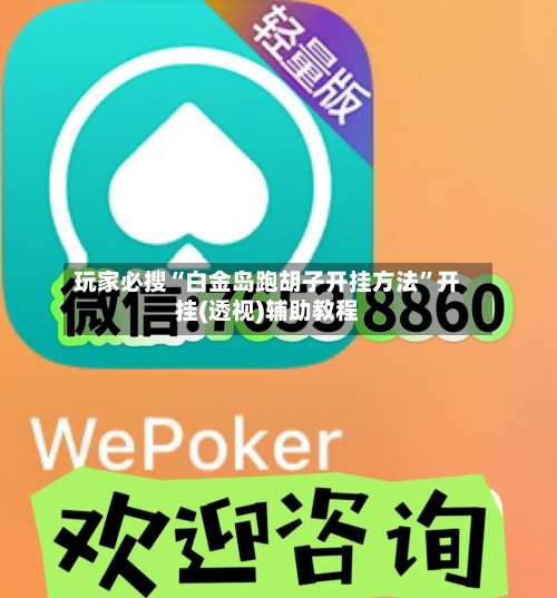 玩家必搜“白金岛跑胡子开挂方法”开挂(透视)辅助教程-第2张图片