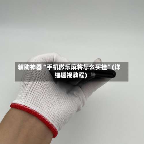 辅助神器“手机微乐麻将怎么买挂	”(详细透视教程)-第2张图片