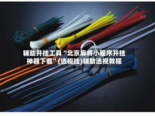 辅助开挂工具“北京麻将小程序开挂神器下载”(透视挂)辅助透视教程-第3张图片