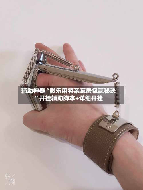 辅助神器“微乐麻将亲友房包赢秘诀”开挂辅助脚本+详细开挂-第1张图片