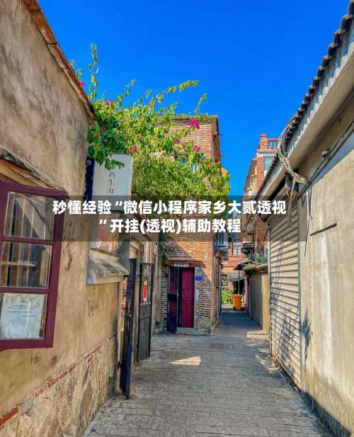 秒懂经验“微信小程序家乡大贰透视”开挂(透视)辅助教程-第3张图片