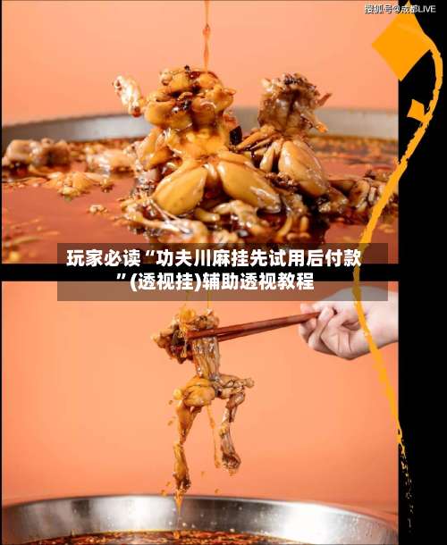 玩家必读“功夫川麻挂先试用后付款	”(透视挂)辅助透视教程-第1张图片