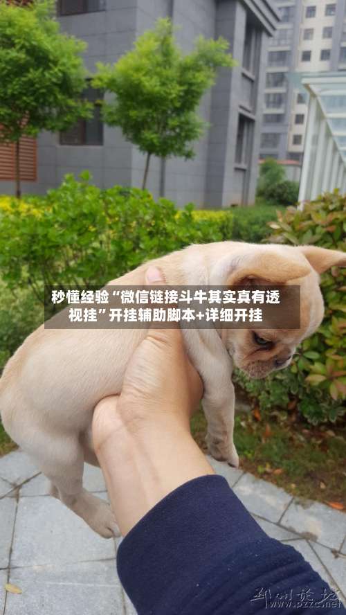 秒懂经验“微信链接斗牛其实真有透视挂	”开挂辅助脚本+详细开挂-第1张图片