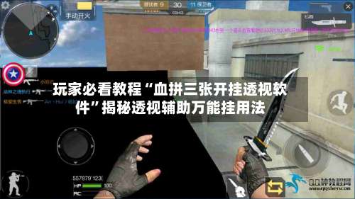 玩家必看教程“血拼三张开挂透视软件”揭秘透视辅助万能挂用法-第2张图片