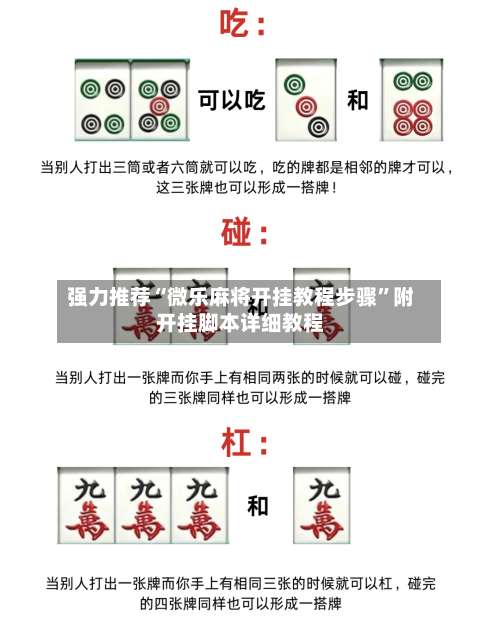 强力推荐“微乐麻将开挂教程步骤”附开挂脚本详细教程-第1张图片