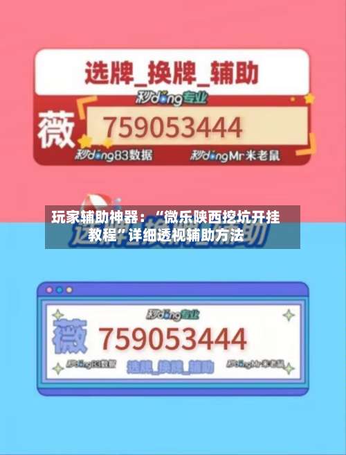 玩家辅助神器：“微乐陕西挖坑开挂教程	”详细透视辅助方法-第1张图片