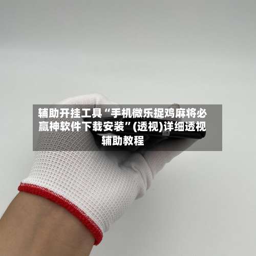 辅助开挂工具“手机微乐捉鸡麻将必赢神软件下载安装”(透视)详细透视辅助教程-第3张图片