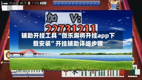 辅助开挂工具“微乐麻将开挂app下载安装”开挂辅助详细步骤-第1张图片