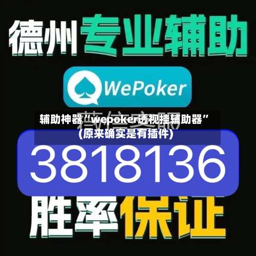 辅助神器“wepoker透视挂辅助器”(原来确实是有插件)-第2张图片