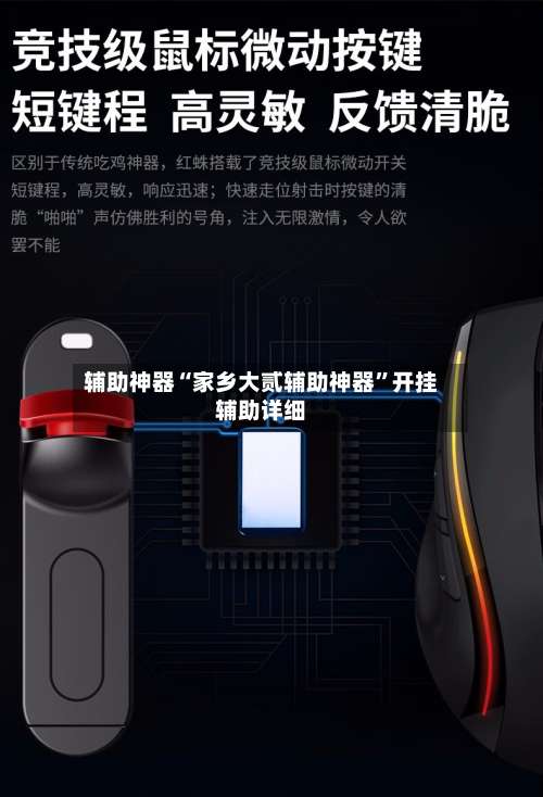 辅助神器“家乡大贰辅助神器”开挂辅助详细-第1张图片