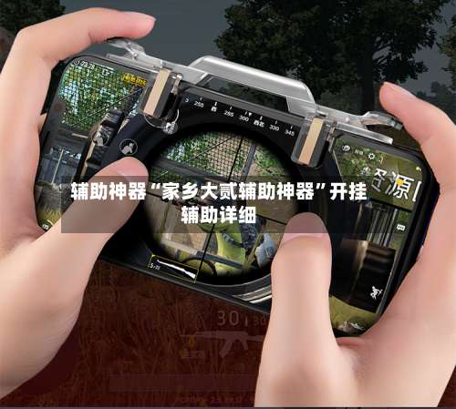 辅助神器“家乡大贰辅助神器	”开挂辅助详细-第2张图片