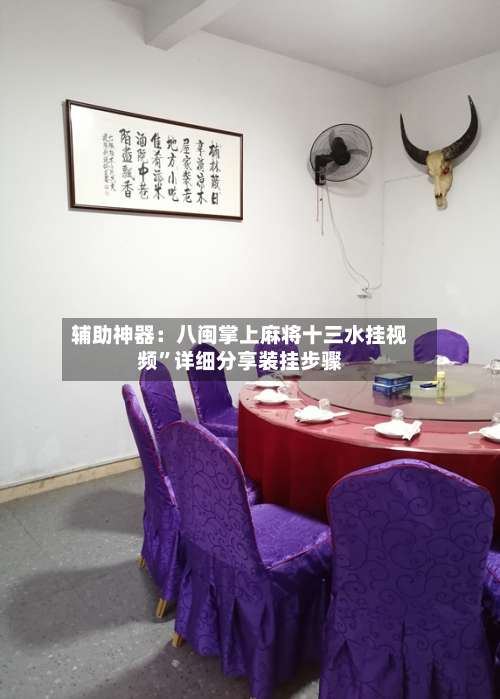 辅助神器：八闽掌上麻将十三水挂视频”详细分享装挂步骤-第2张图片