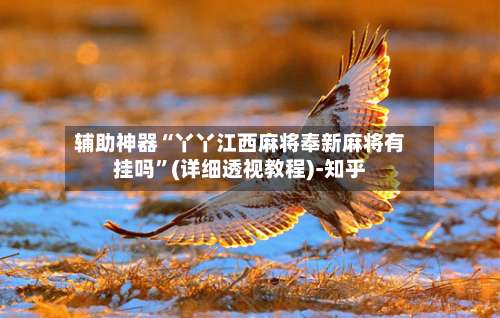 辅助神器“丫丫江西麻将奉新麻将有挂吗”(详细透视教程)-知乎-第1张图片