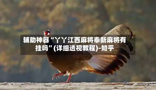 辅助神器“丫丫江西麻将奉新麻将有挂吗”(详细透视教程)-知乎-第3张图片