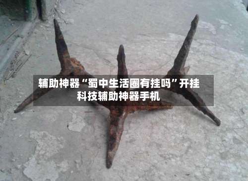 辅助神器“蜀中生活圈有挂吗”开挂科技辅助神器手机-第2张图片