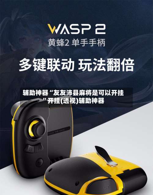 辅助神器“友友沛县麻将是可以开挂”开挂(透视)辅助神器-第3张图片