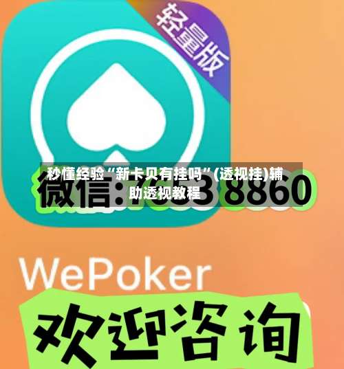 秒懂经验“新卡贝有挂吗”(透视挂)辅助透视教程-第2张图片