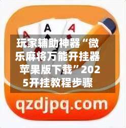 玩家辅助神器“微乐麻将万能开挂器苹果版下载	”2025开挂教程步骤-第2张图片