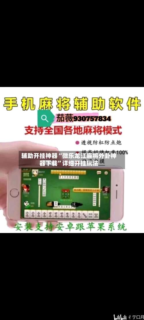 辅助开挂神器“微乐龙江麻将外卦神器下载”详细开挂玩法-第2张图片