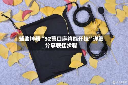 辅助神器“52营口麻将能开挂”详细分享装挂步骤-第2张图片